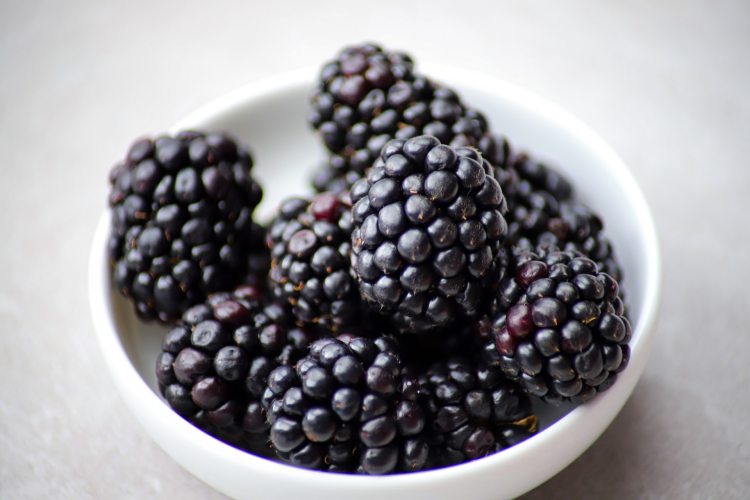 All About Blackberries: 16 Fascinating Facts About the Fruit