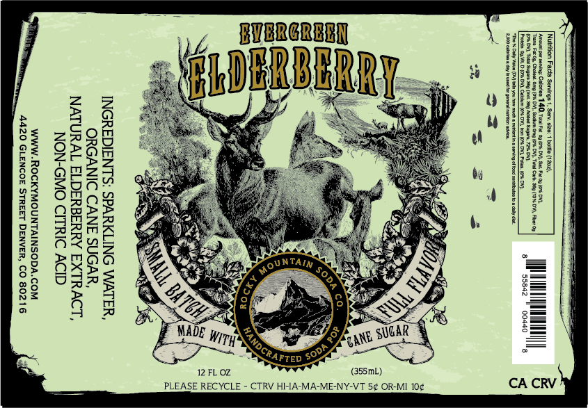 Evergreen Elderberry
