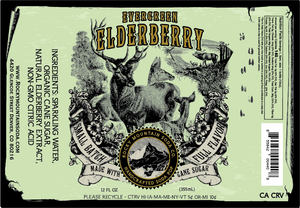 Evergreen Elderberry