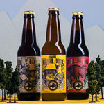 Three Rocky Mountain Soda bottles with miniature trees