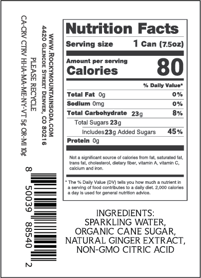 Extra Spicy Ginger Beer 7.5oz 48 pack
